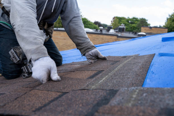 Best Commercial Roofing Services  in Hayti, PA