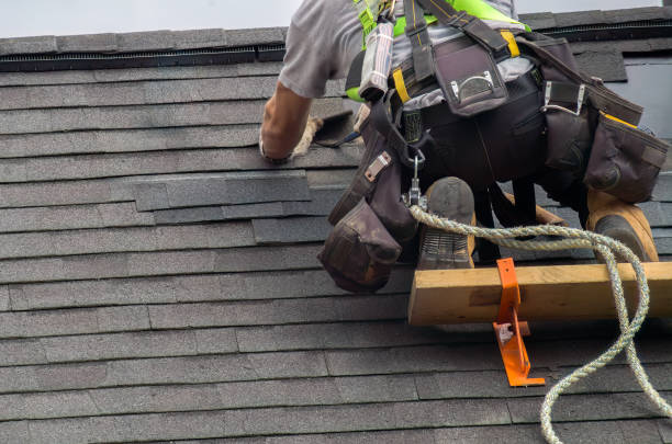 Best Roof Gutter Cleaning  in Hayti, PA